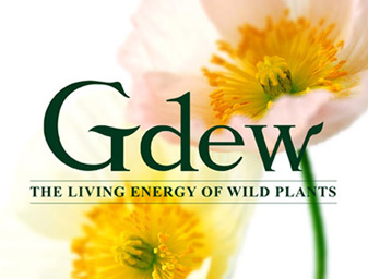 Gdew化妆品logo设计